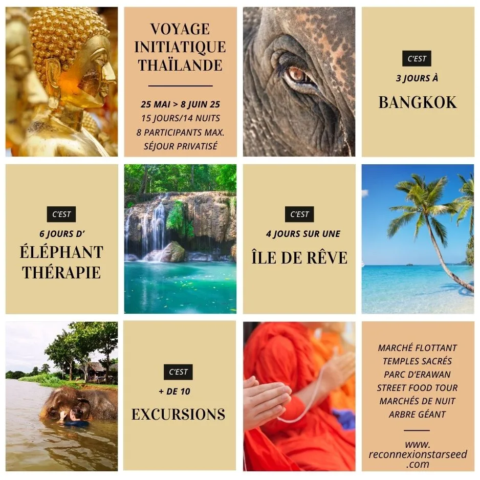 voyage initiatique en thaïlande